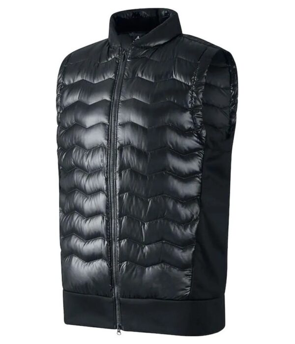 Omari Hardwick Power Puffer Vest